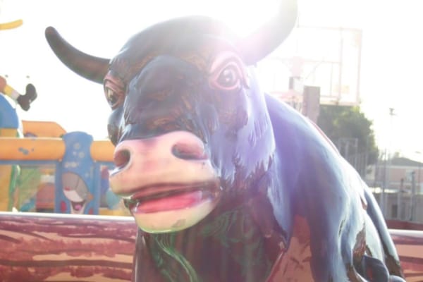 toro-mecanico-imagen
