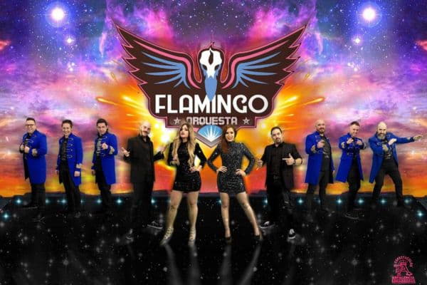 flamingo-logo